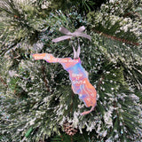 Ashley Weber 'Send it South' Ornament